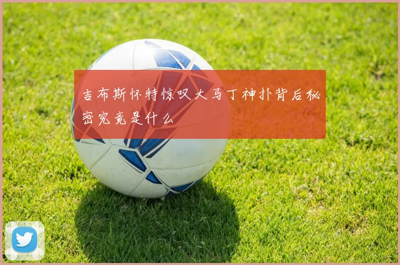 吉布斯怀特惊叹大马丁神扑背后秘密究竟是什么